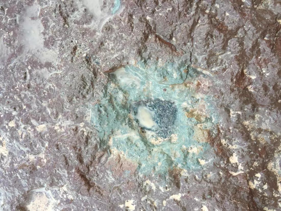Ost 65 is the black fossil meteorite at the center of this image, embedded in slate in a Swedish quarry