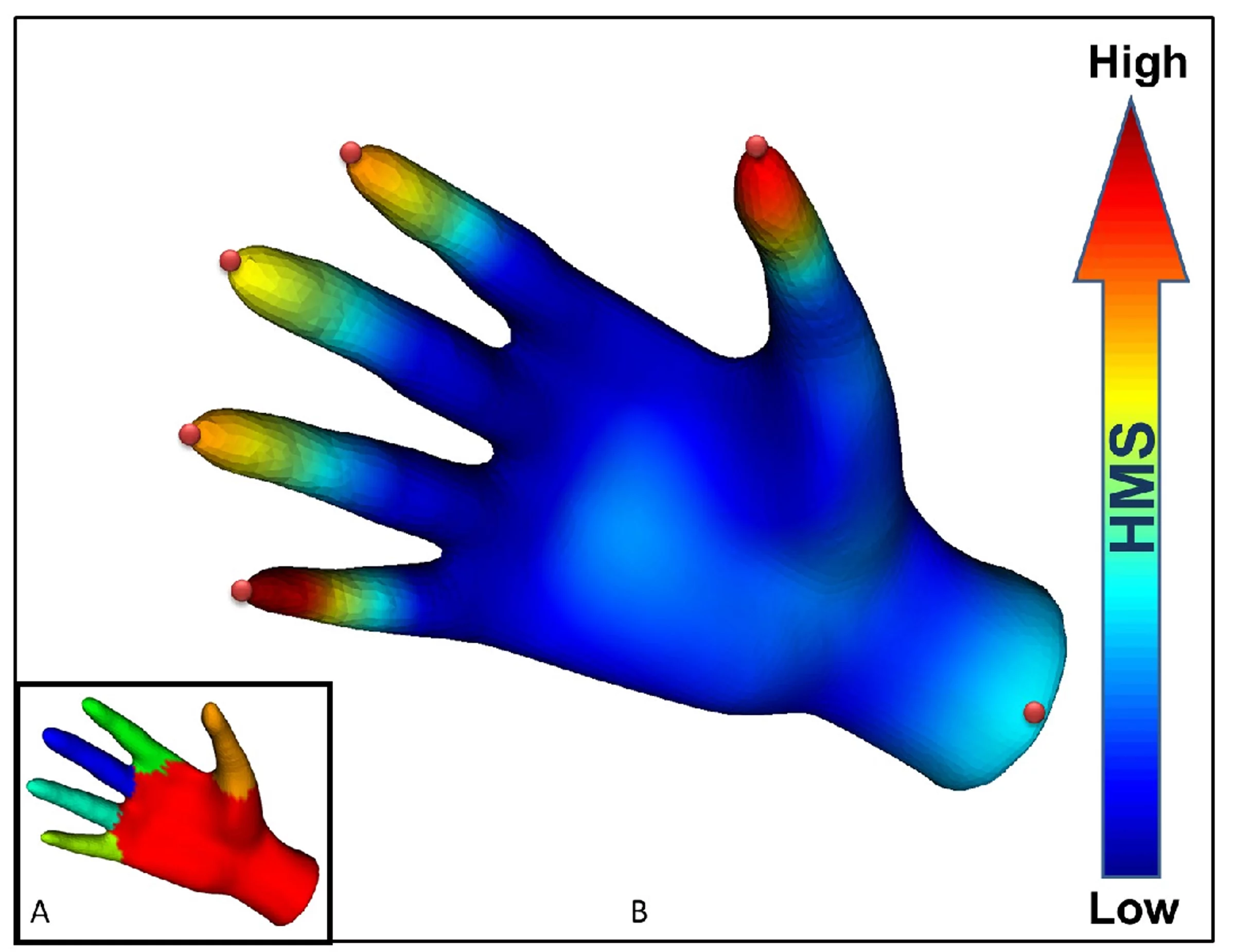 A 'heat mean signature' of a human hand is used to perceive the six segments of the overall shape and define the fingertips (Image: Purdue University/Karthik Ramani and Yi Fang)
