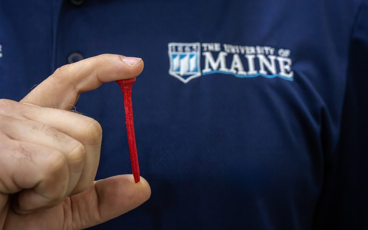 Discarded lobster shells hit the greens as biodegradable golf tees
