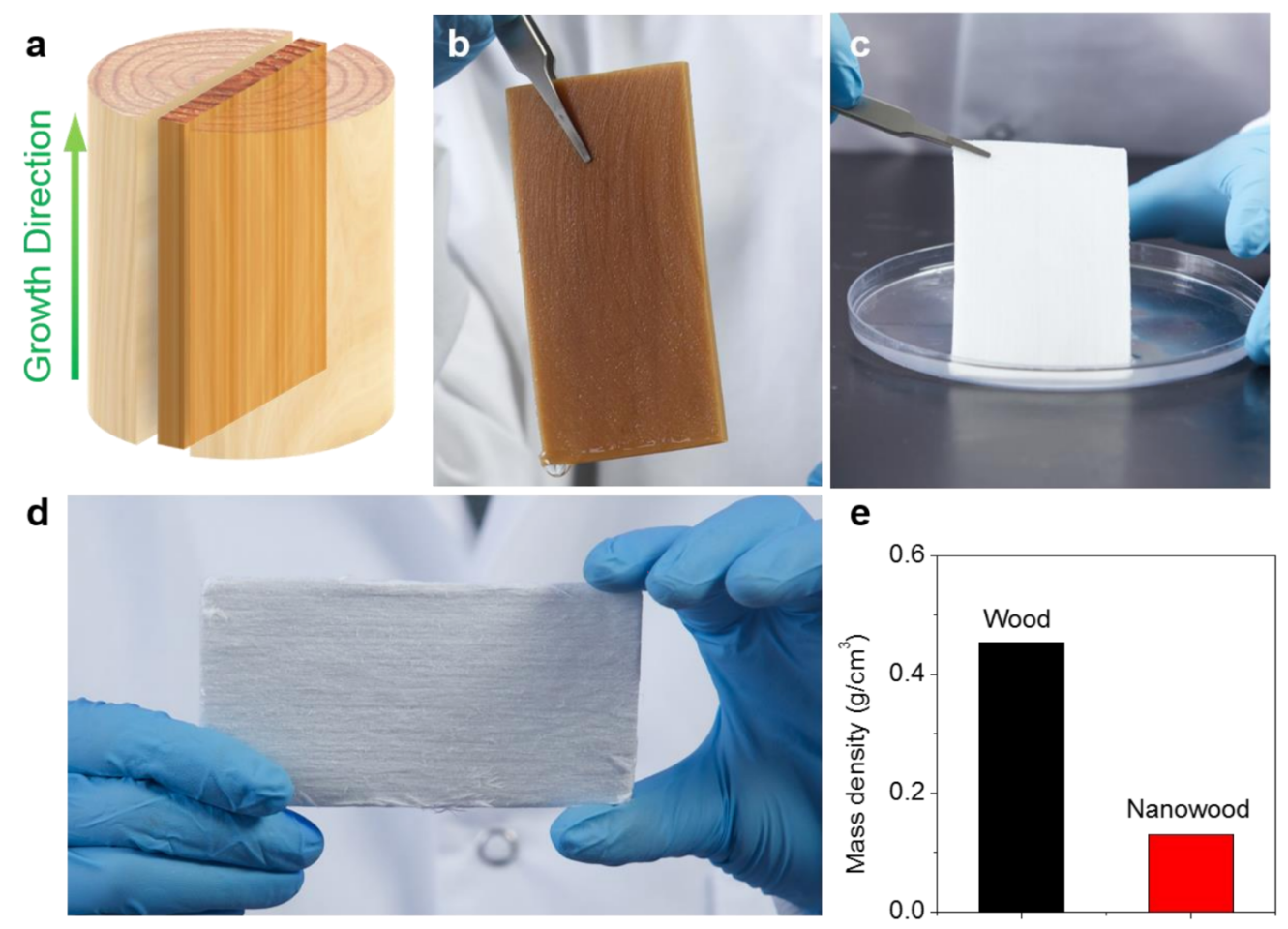 The process of producing nanowood