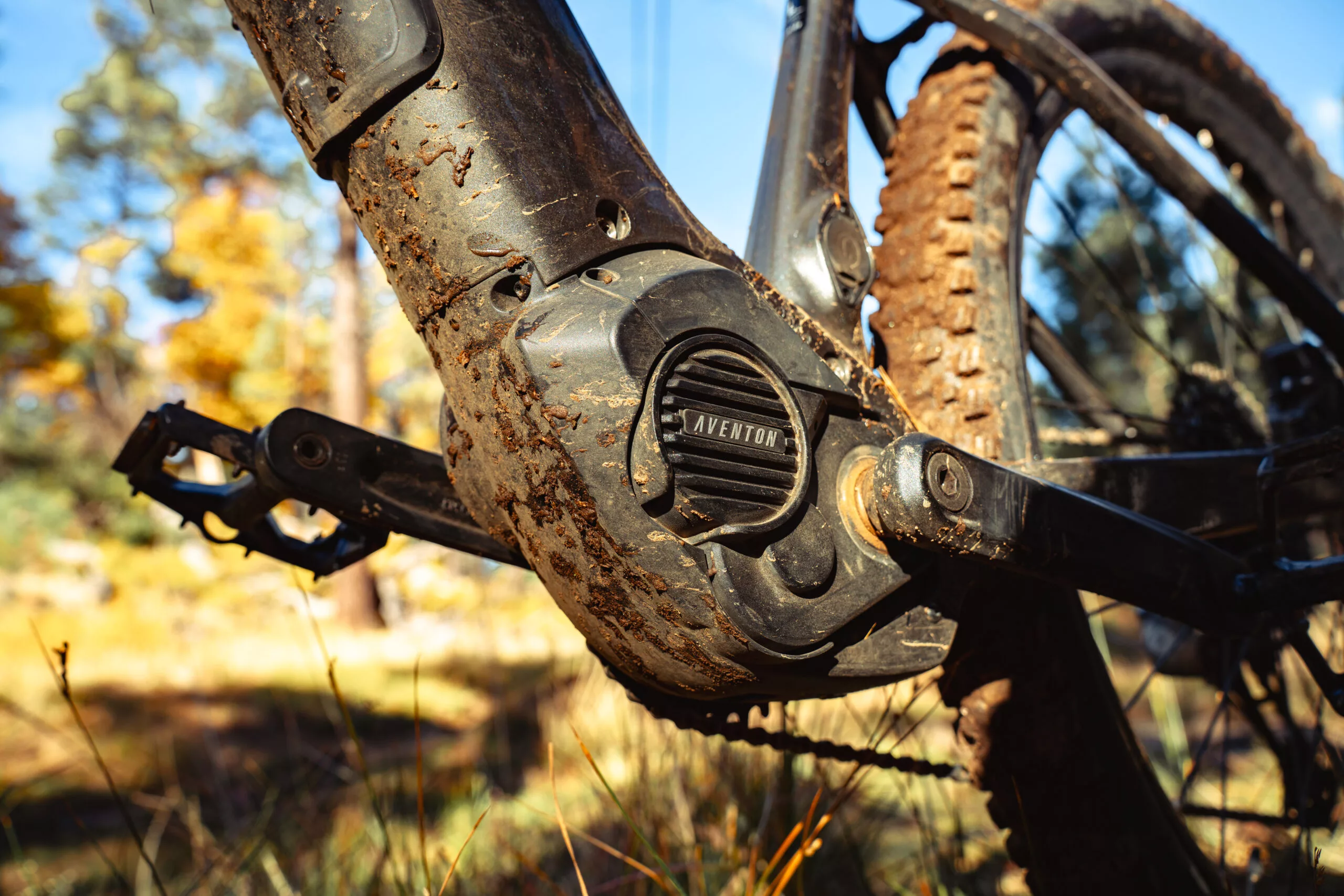 Torque, power and pedal response of the in-house motor can be fine-tuned via a companion app