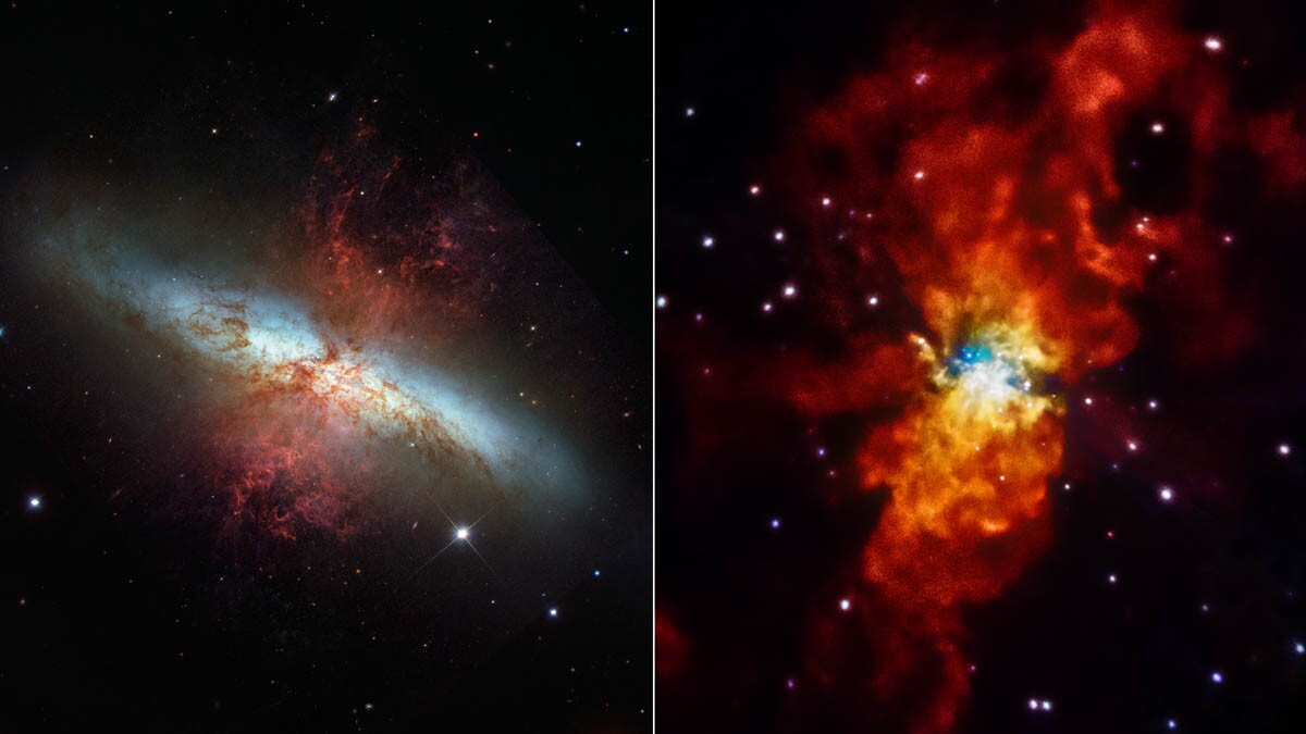 The Messier 82 (M82) galaxy shown in a visible-light view from NASA's Hubble Space Telescope (left), and an X-ray view from NASA's Chandra X-ray Observatory (right) (Image: NASA/STScI/SAO)