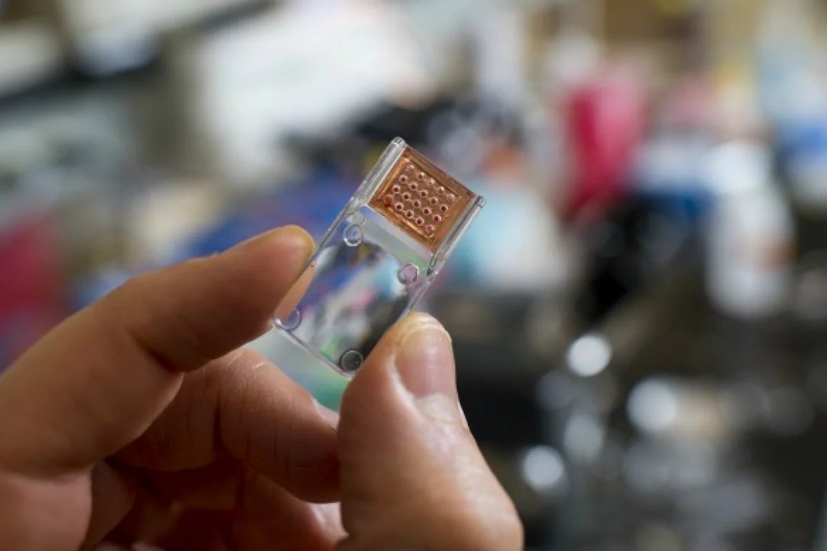 The thumb-sized Domino chip can perform 20 genetic tests from a drop of blood