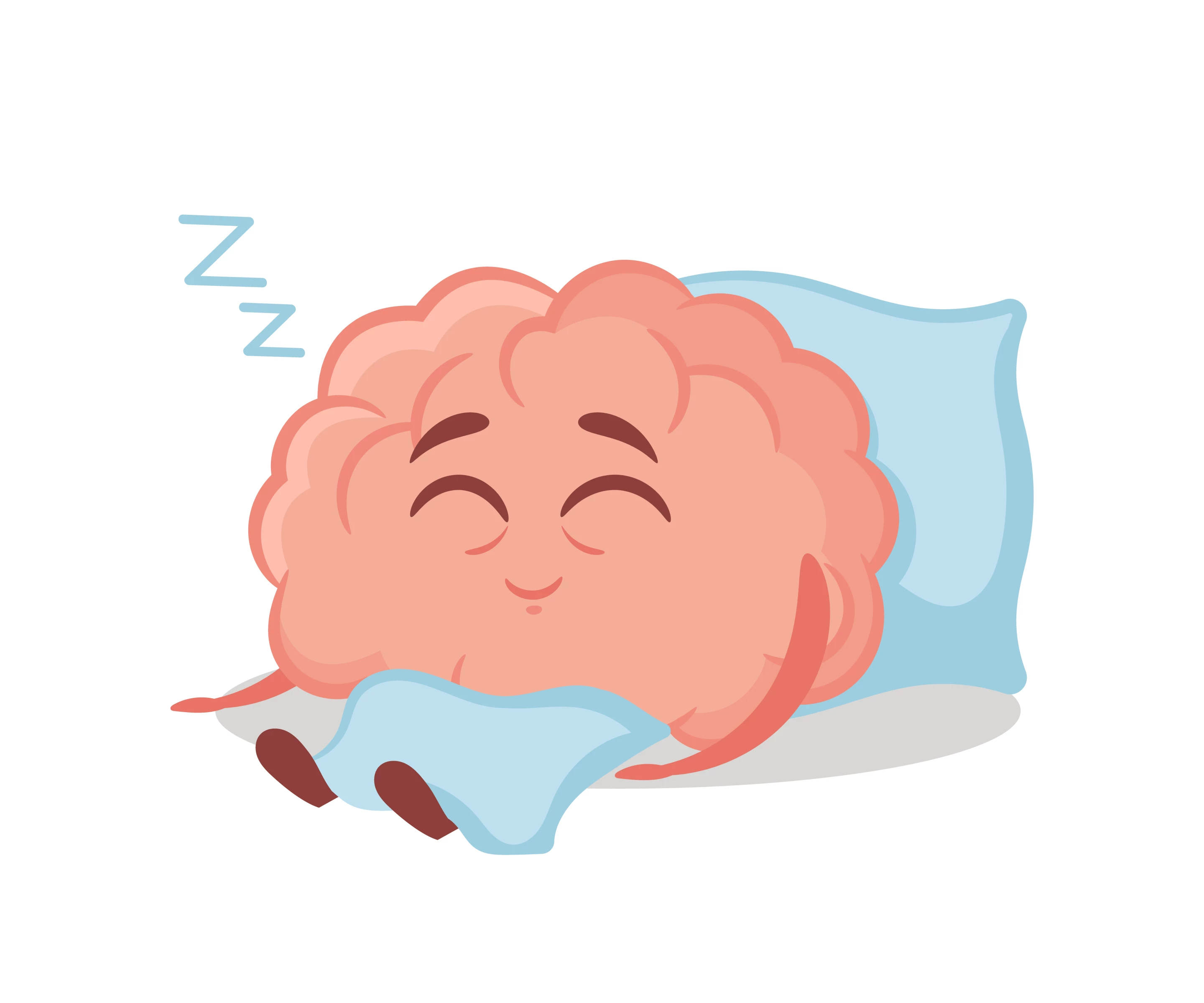 The findings home in on the specific parts of the brain that regulate pre-sleep routines and help initiate sleep