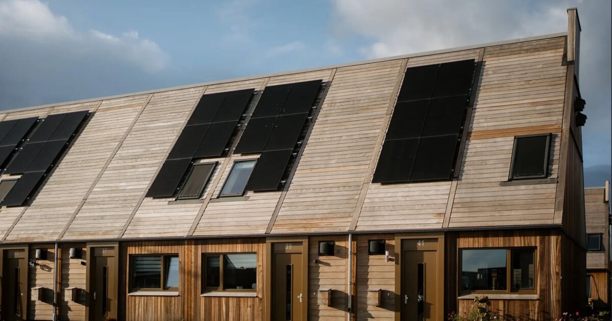 Dutch timber homes hit carbon-negative milestone with Delft Red reboot