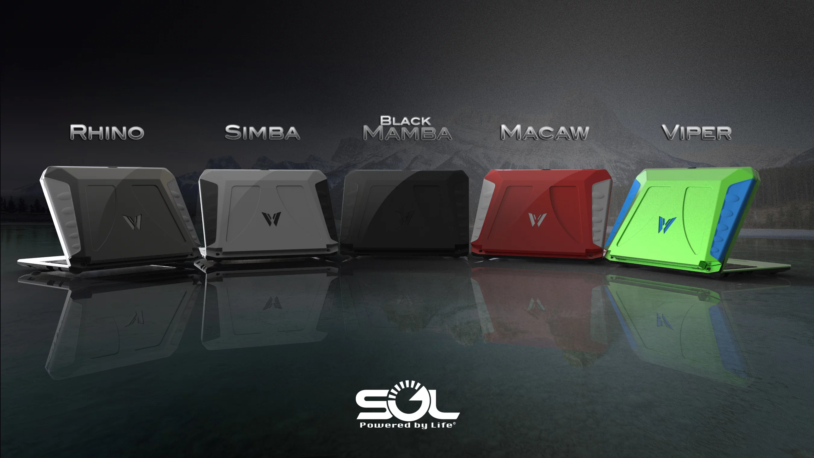 Customers will also have a choice between a variety of color schemes for the case, including black, gray, red, and bright green.