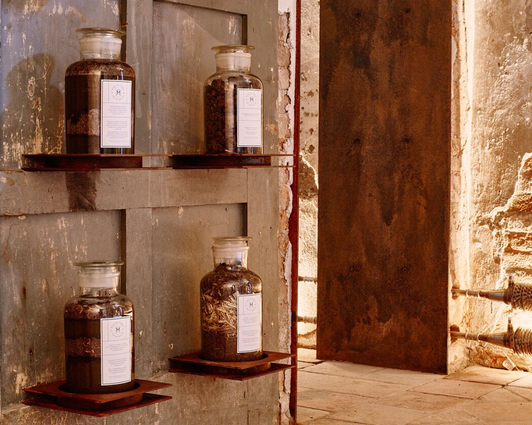 In "medicine and pharmacology" Pliny the Elder described curative concoctions that use of the droppings of various animals