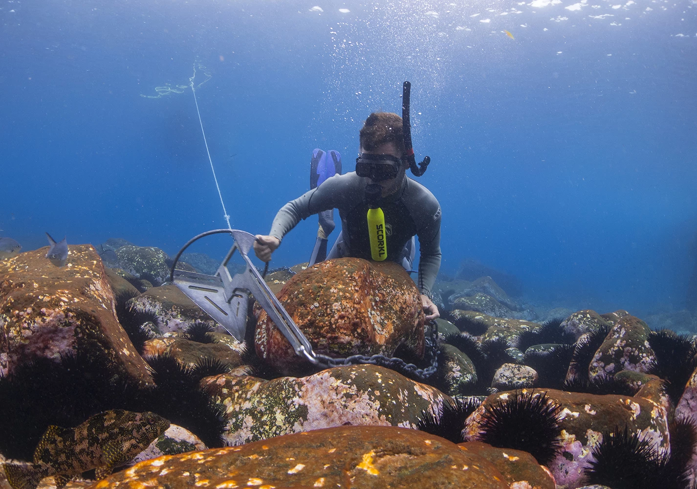 The Scorkl is a lightweight compact breathing device that enables you to breathe underwater for up to 10 minutes. If you don't have a compressor to recharge the $200 Scorkl, there's a $200 high pressure pump so you can fill it yourself.