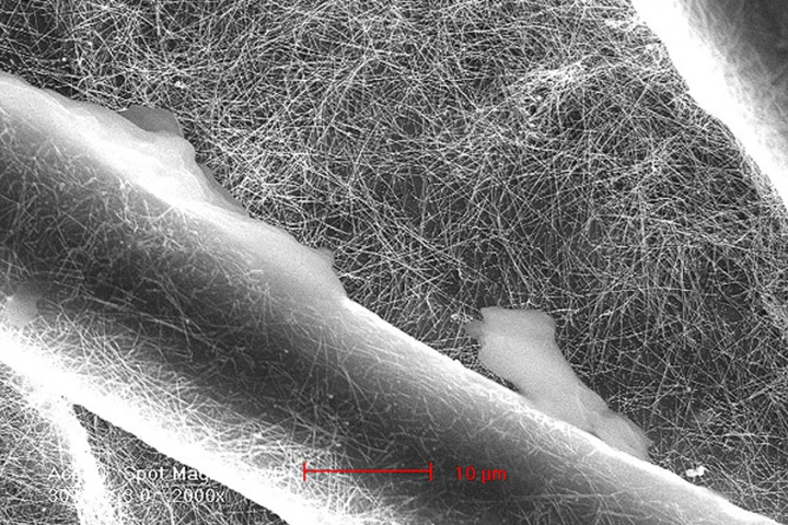 SEM image of the silver nanowires in which the cotton is dipped during the process of constructing a filter â€“ the large fibers are cotton (Image: Yi Cui)