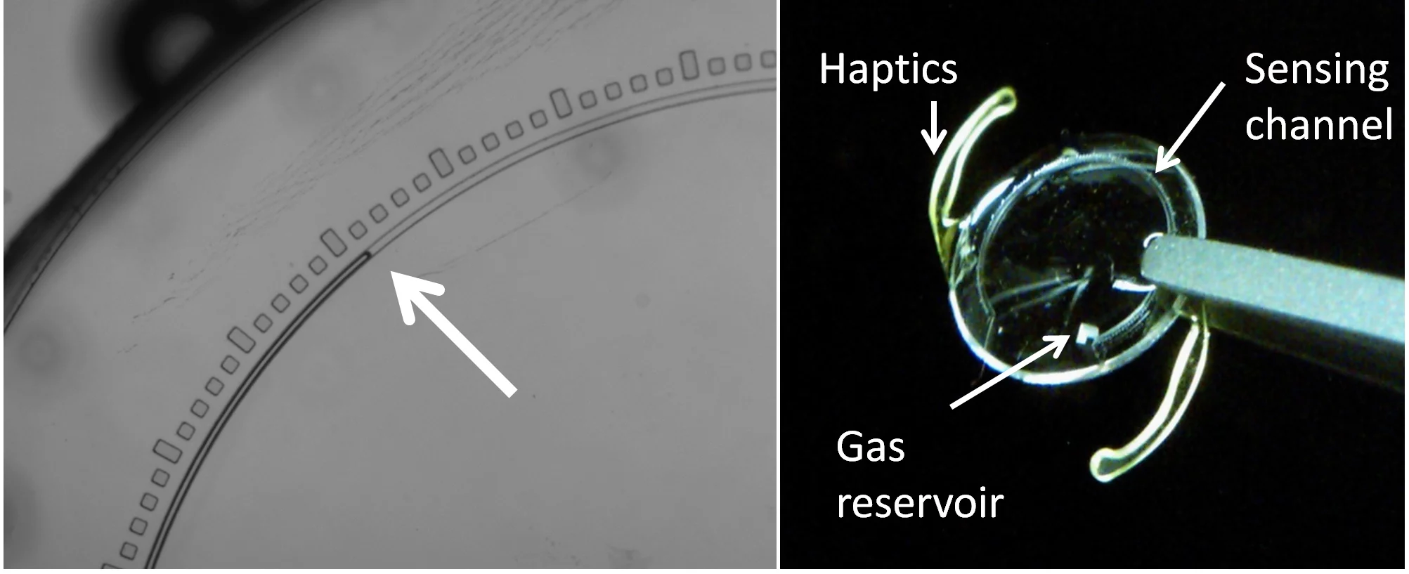 A close-up of the sensing channel, and a view of the whole implant (Photos: Stanford/Quake Lab)