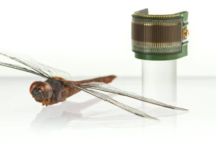 CurvACE reproduces the architecture of the eyes of insects and other arthropods