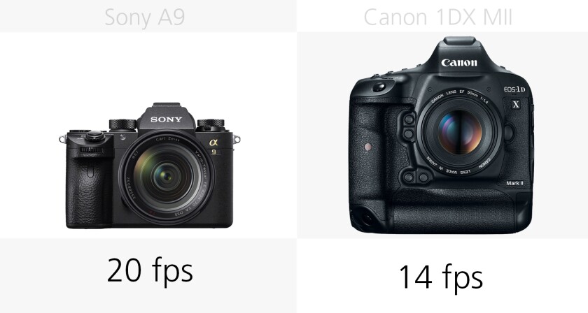 Comparing the top shooting speed of the Sony A9 and Canon 1DX Mark II