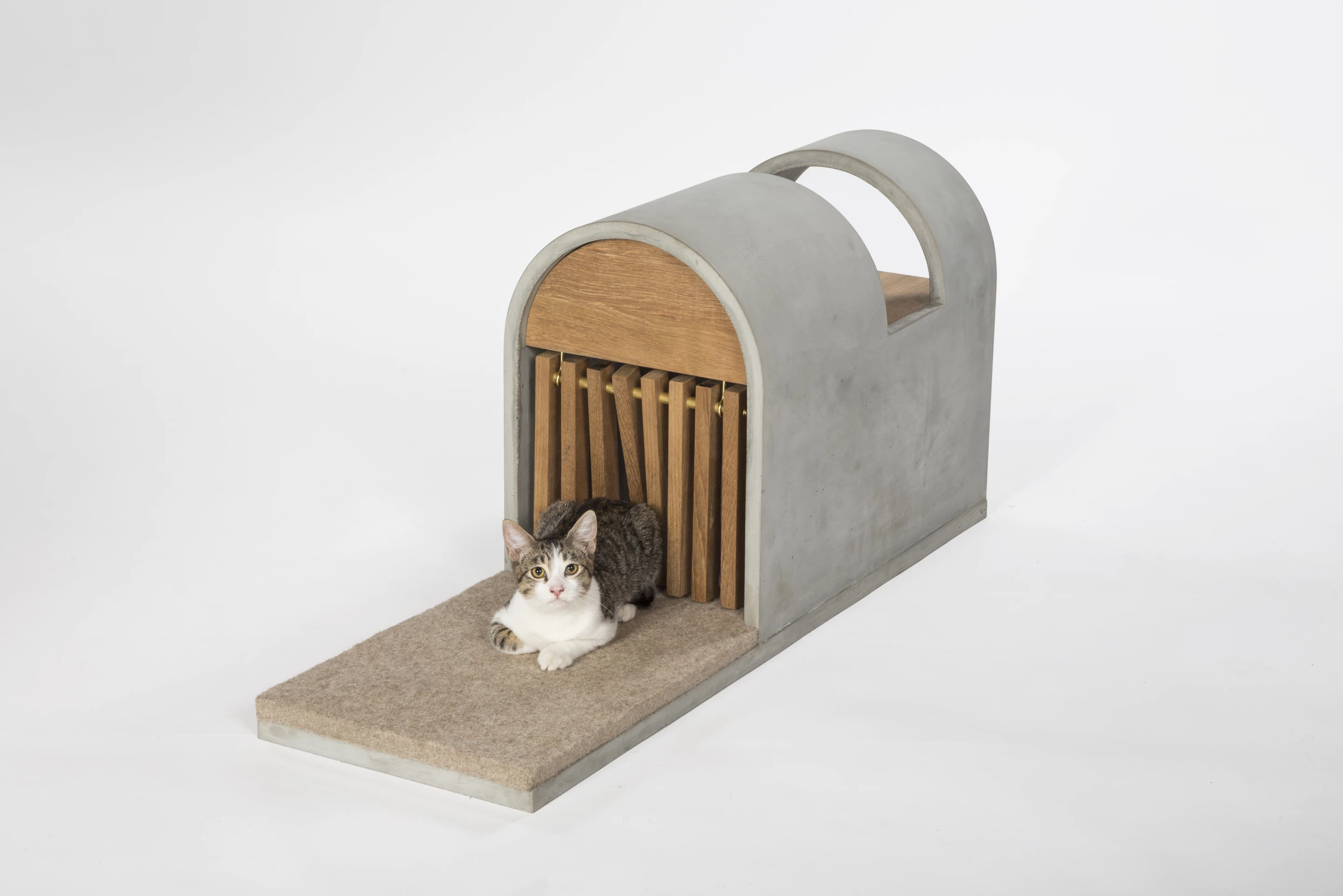 The Cat Pod, by Standard Architecture