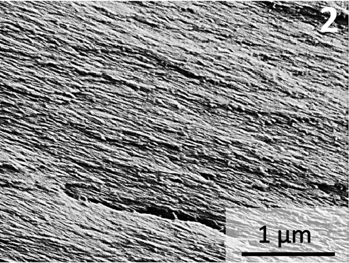 A microscope image of the cured glue, showing the layers of cellulose nanocrystals