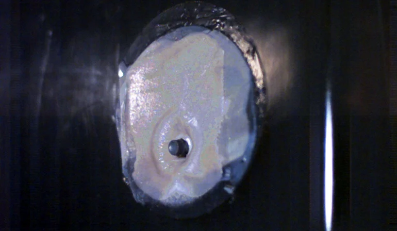 Dutch artist Jalila Essaïdi created bulletproof skin by seeding human skin cells with spider silk