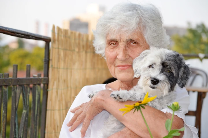 A sensor worn by dogs may assist in monitoring the seniors who own them (Photo: Shutterstock)