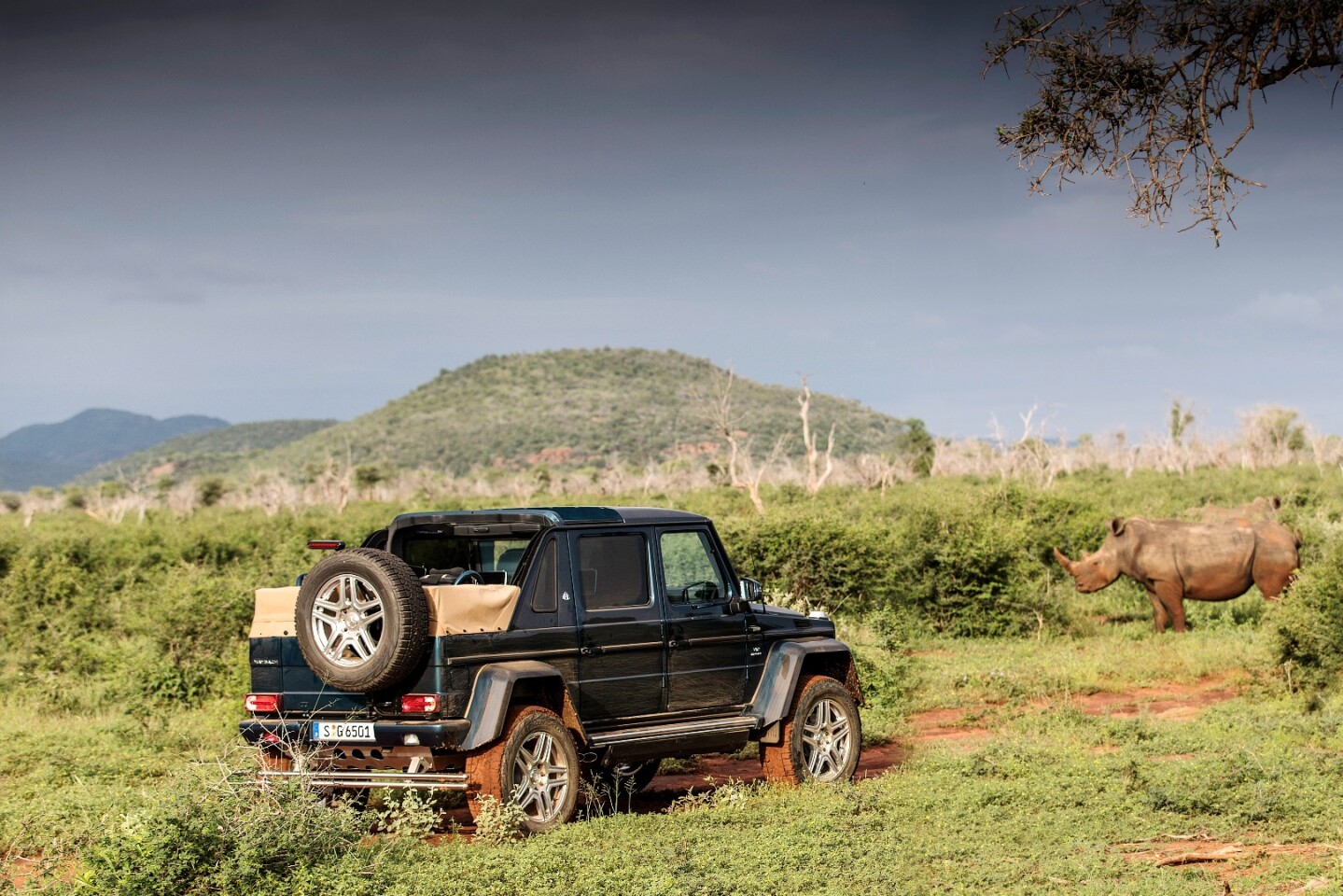 The luxury 7300 pound Maybach G650 Landaulet is more than five meters long and two meters high, with half a meter of ground clearance, and four wheels sharing responsibility for distributing 1000 Nm of torque.