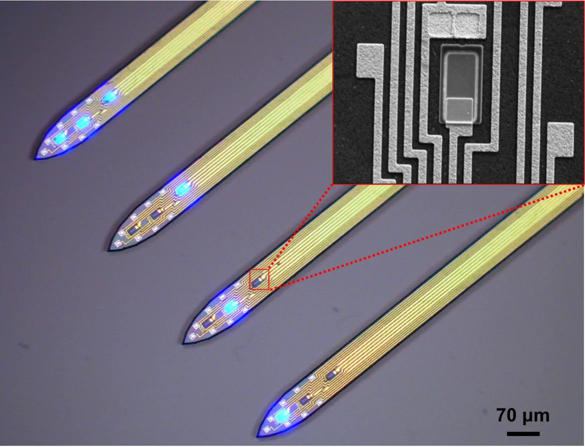 The technology has already been tested on mice at New York University, in a study on how the animals form memories