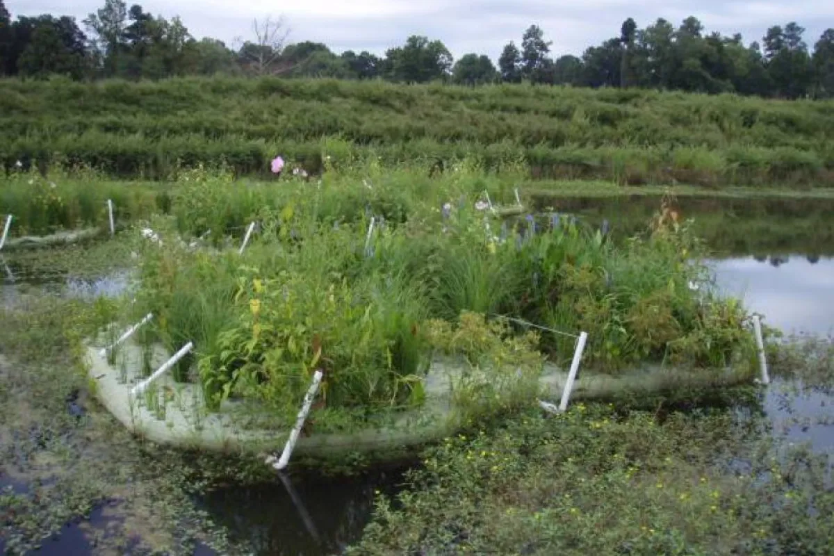One of the BioHaven Floating Islands, from a previous project (Photo: Floating Island Southeast)
