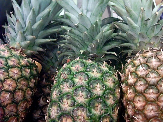A research team from Brazil has developed a new form of plant fiber-based plastic that is claimed to be almost as stiff as Kevlar and stronger, lighter, and more eco-friendly than plastics currently in use (Image credit: Peter Bubenik)