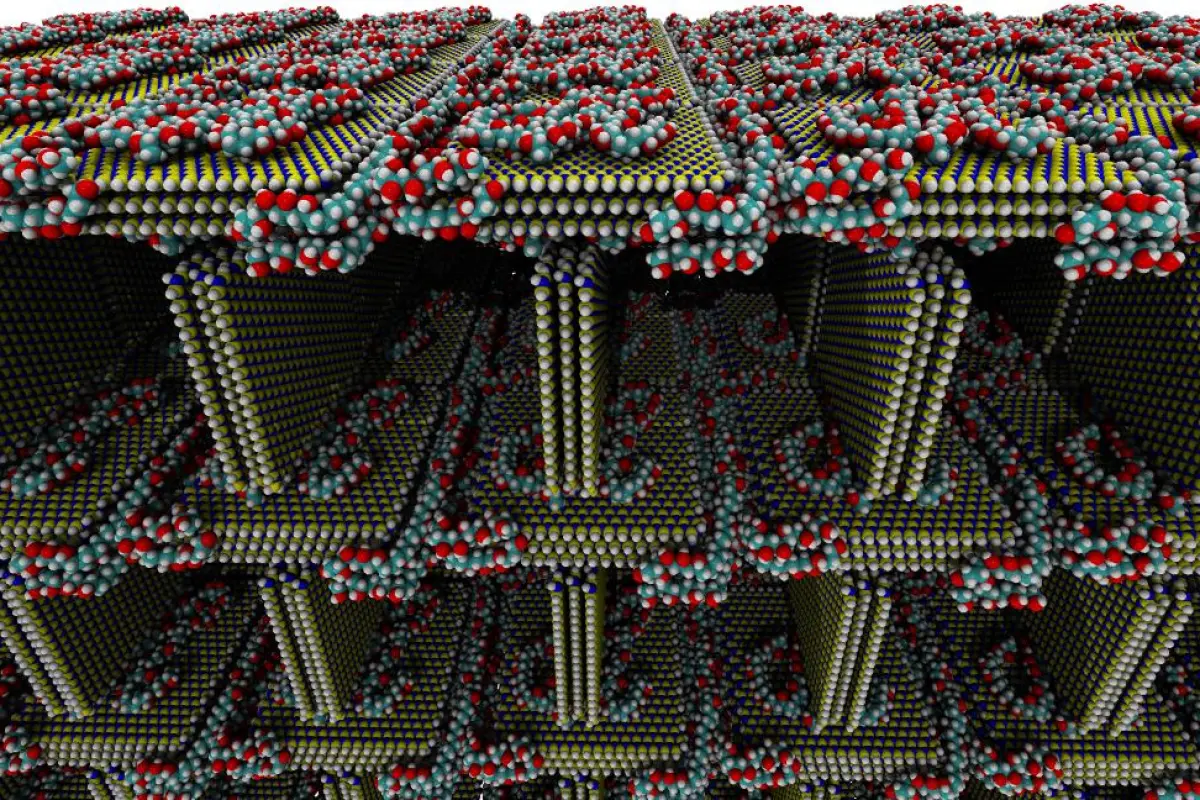 This simulated image shows the structure of the foam, with sheets of hexagonal-boron nitride (blue and yellow), with PVA molecules holding carbon (teal), oxygen (red) and hydrogen (white)