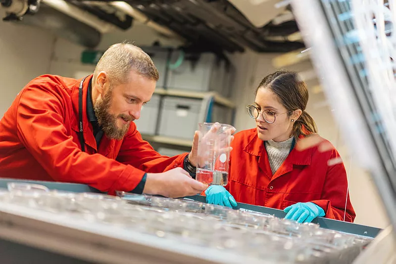 Andreas Hagemann (left) and PhD student Andrea Rodrigue examine one of the ragworms