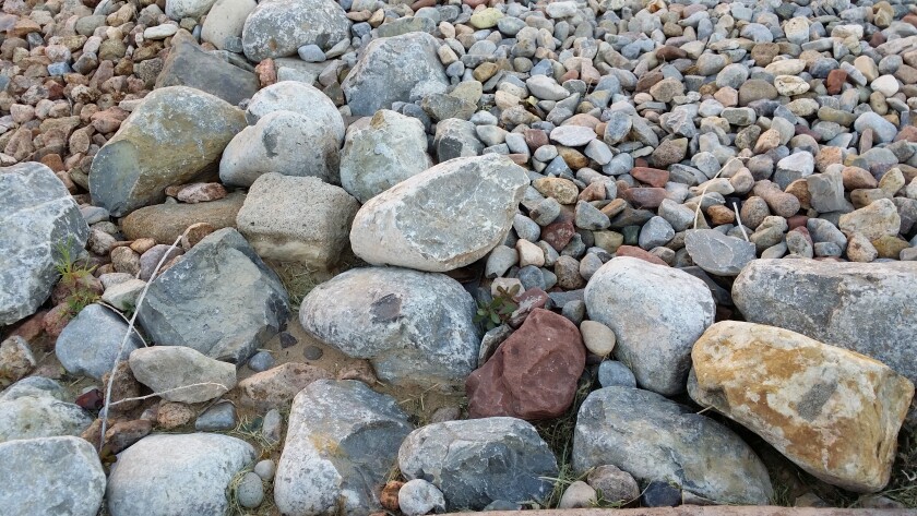 Outdoor shot taken in indirect daylight