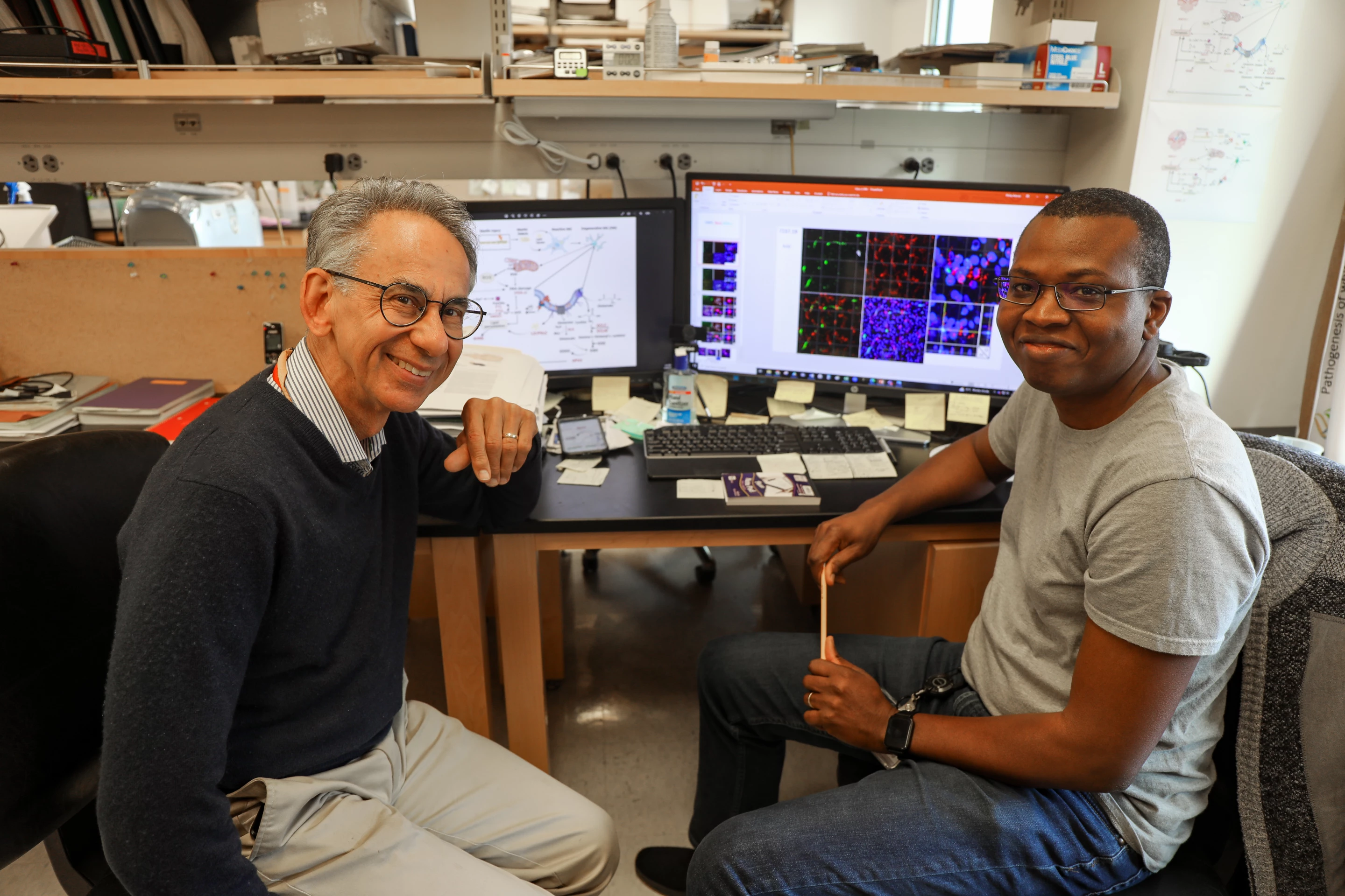 Dr Stephen Back, left, and Philip Adeniyi discovered that microglia degenerates in the white matter of the brain of patients with Alzheimer’s disease and vascular dementia