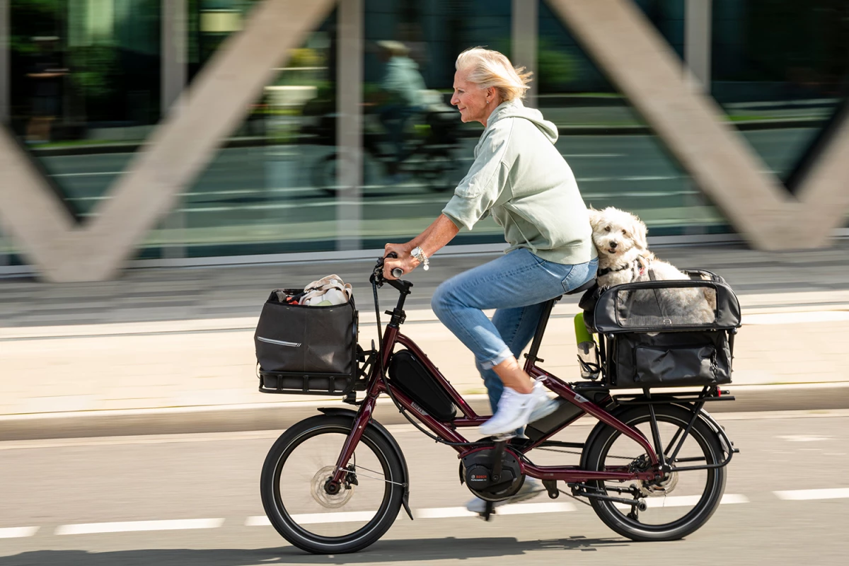 The Tern Quick Haul can create a fun outing with a cooperative pet