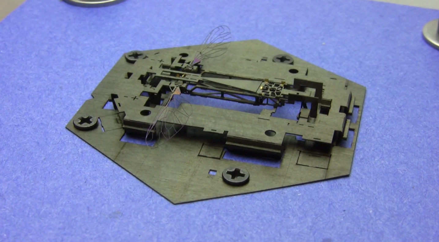 An assembled Mobee and scaffold