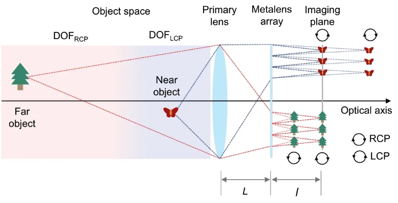 Two focal lengths determined by circular polarization, and two more determined by metalens shaping, are matched up such that the near and far focal points can converge at the same imaging plane