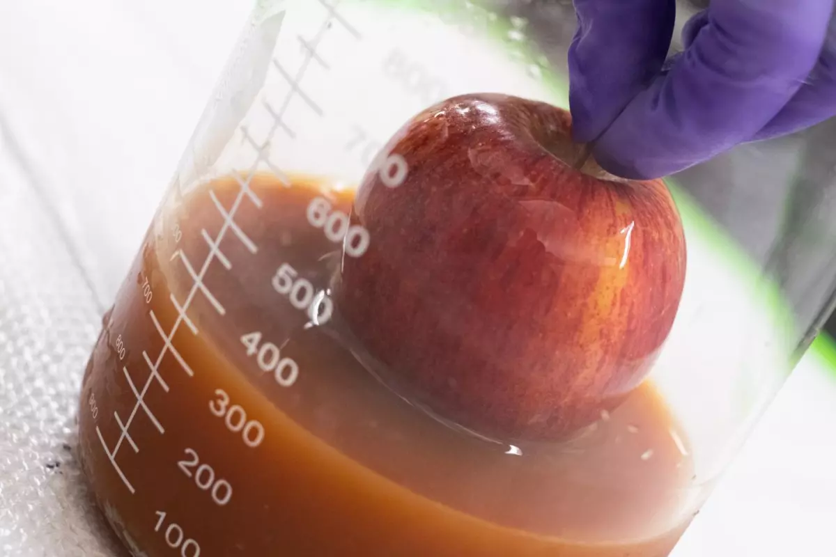 An apple is dipped in the egg-based coating