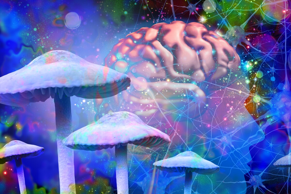 Almost every participant in the trial guessed whether they had been given psilocybin or placebo, raising questions over whether psychedelic trials can ever be properly blinded