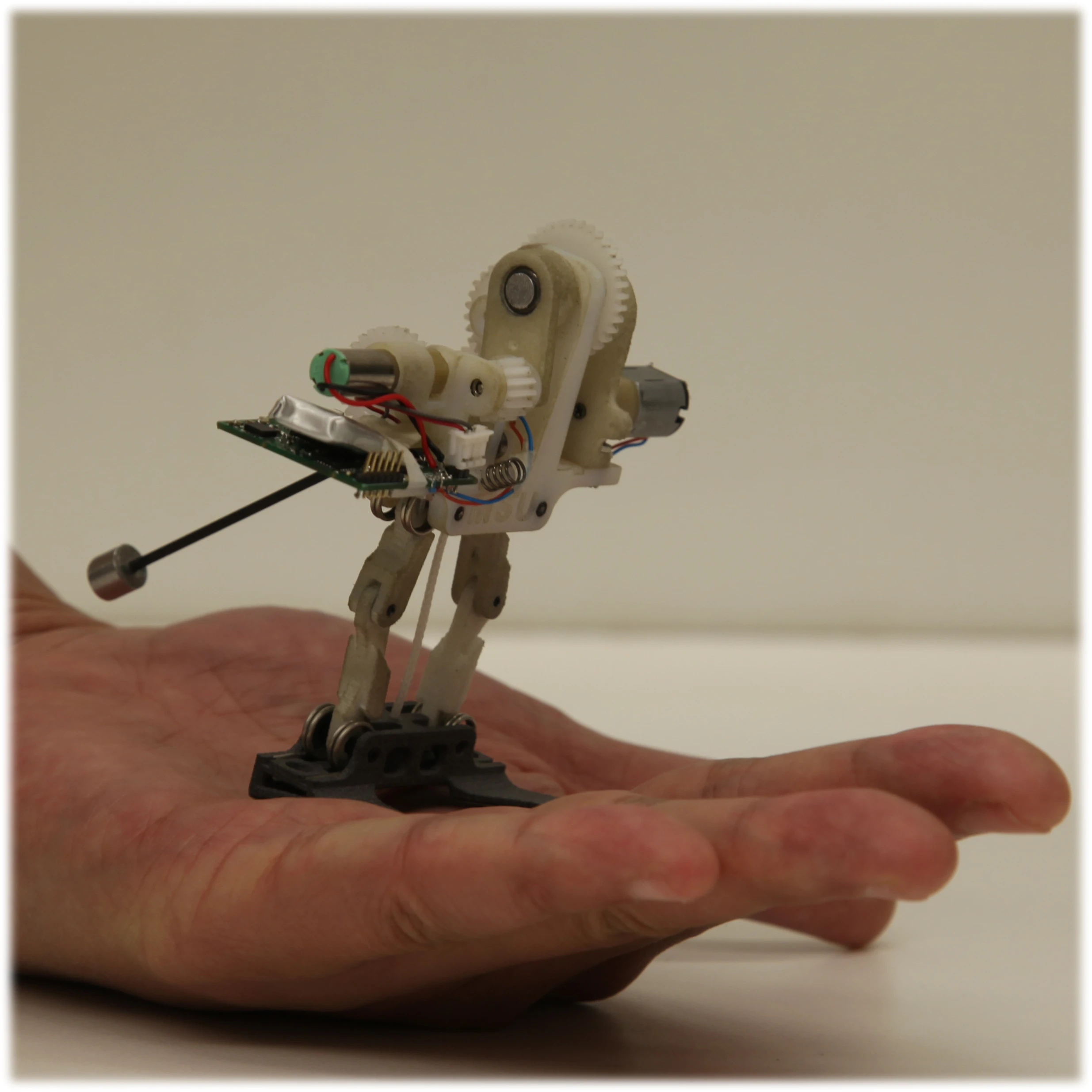 The tailbot, a running, jumping mobile sensor that can maneuver in mid-air with its tail (Photo: Jianguo Zhao)