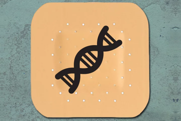 A conceptual image of the vaccine patch developed at MIT that could enable the use of DNA vaccines in humans (Image: Christine Daniloff/MIT)
