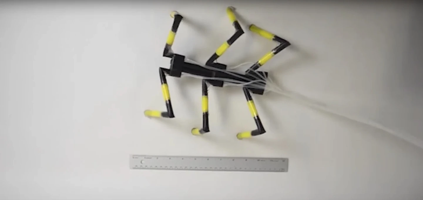 Harvard scientists have made semi-soft robots out of drinking straws, that move like insects