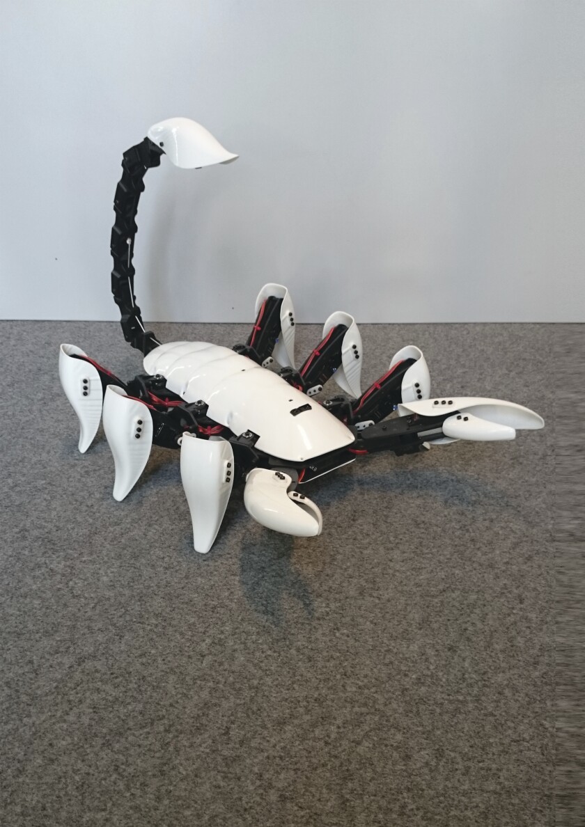 Ready to strike, the Scorpion Hexapod moves in a similar way to the real thing and stabs anyone who dares to get too close