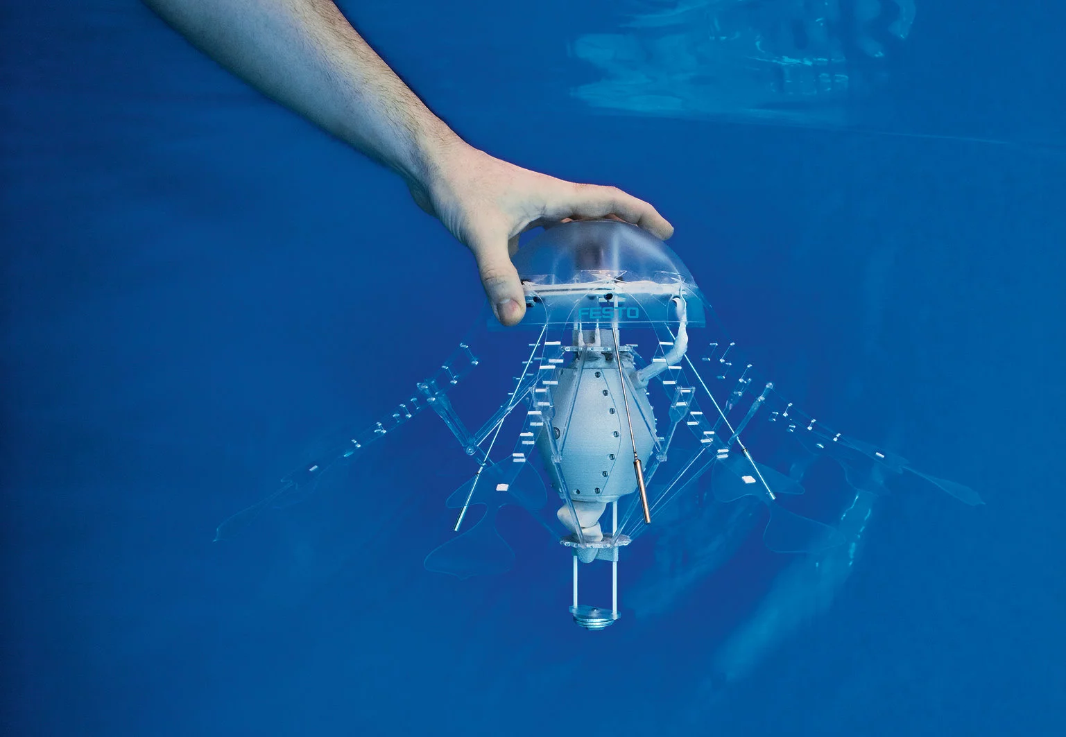 AquaJelly exist in a predefined space with a limited number of charging stations so they must attain balance in order to survive (Image: Festo)