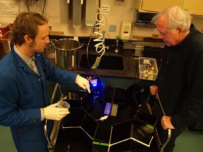 UC Berkeley researchers Benjamin Gaub and John Flannery observe a mouse in a water maze as it swims toward a platform designated by flashing lights (Photo: Mervi Kuronen)