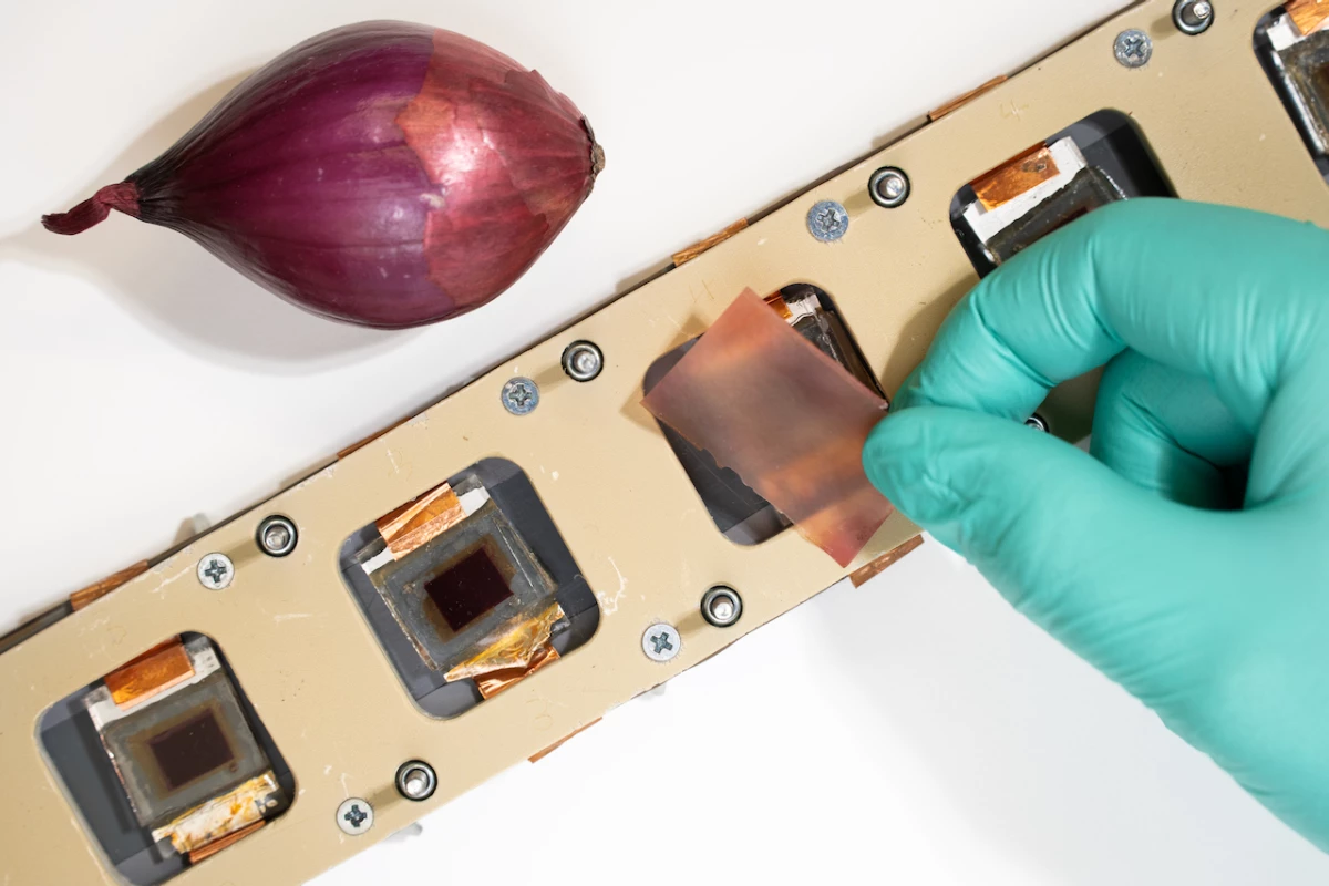 Dye-sensitized solar cells were used in the study, as they're particularly prone to UV damage