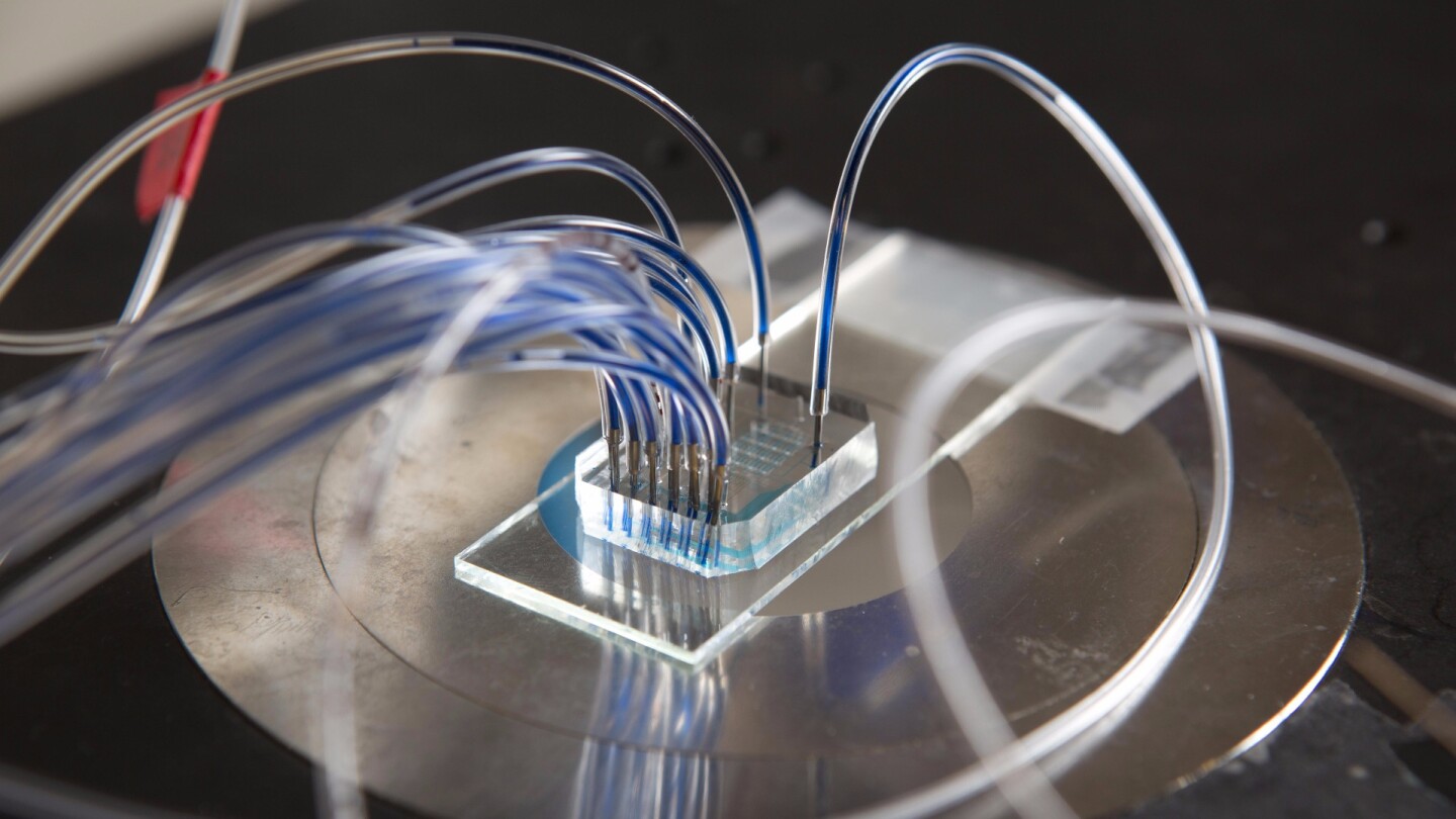 The new system works without the need to pre-treat blood samples, which is a big bonus, as the use of a centrifuge to separate plasma is time-consuming and requires large volume samples