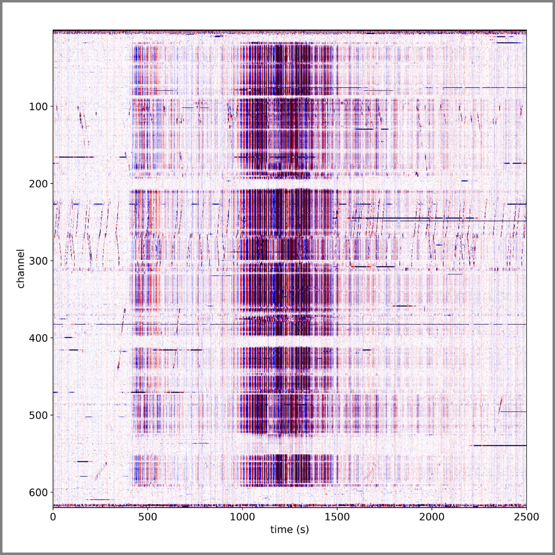 The signal detected by the Stanford fiber optic seismic observatory from the huge 8.2 magnitude earthquake in Mexico on September 8
