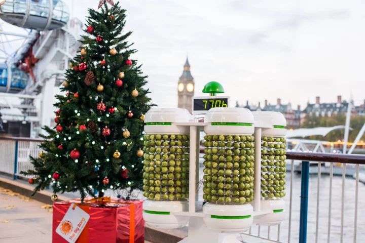 The Brussels sprout battery, with the Christmas tree