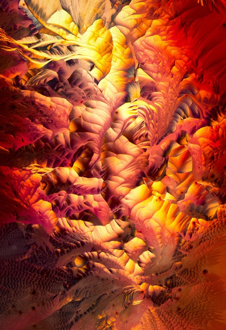 Image of Distinction: Amino acid crystals (L-glutamine and beta-alanine)