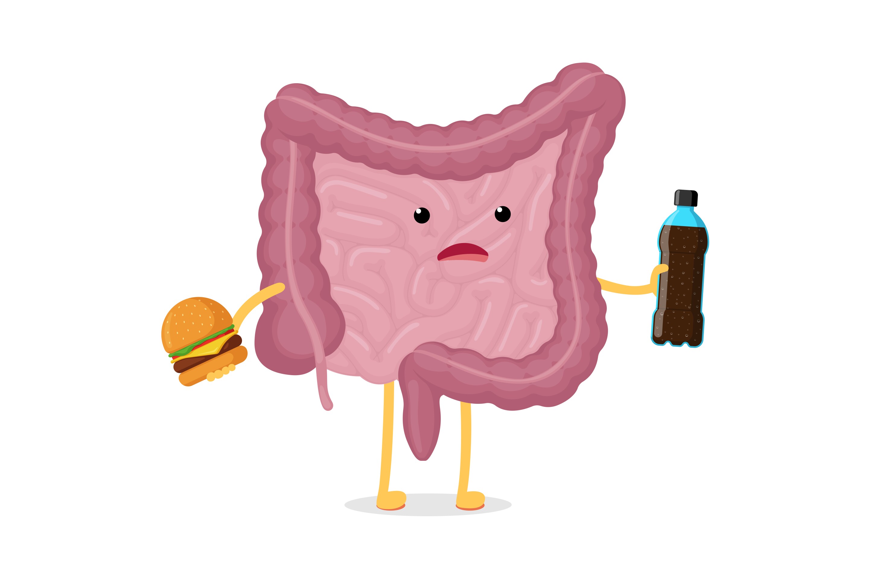 New discovery reveals how sugar disrupts gut bacteria, leading to obesity