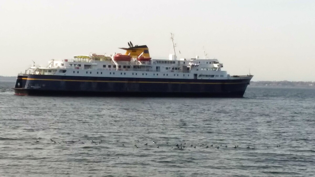 AI co-pilot uses machine learning to reduce deadly sea collisions