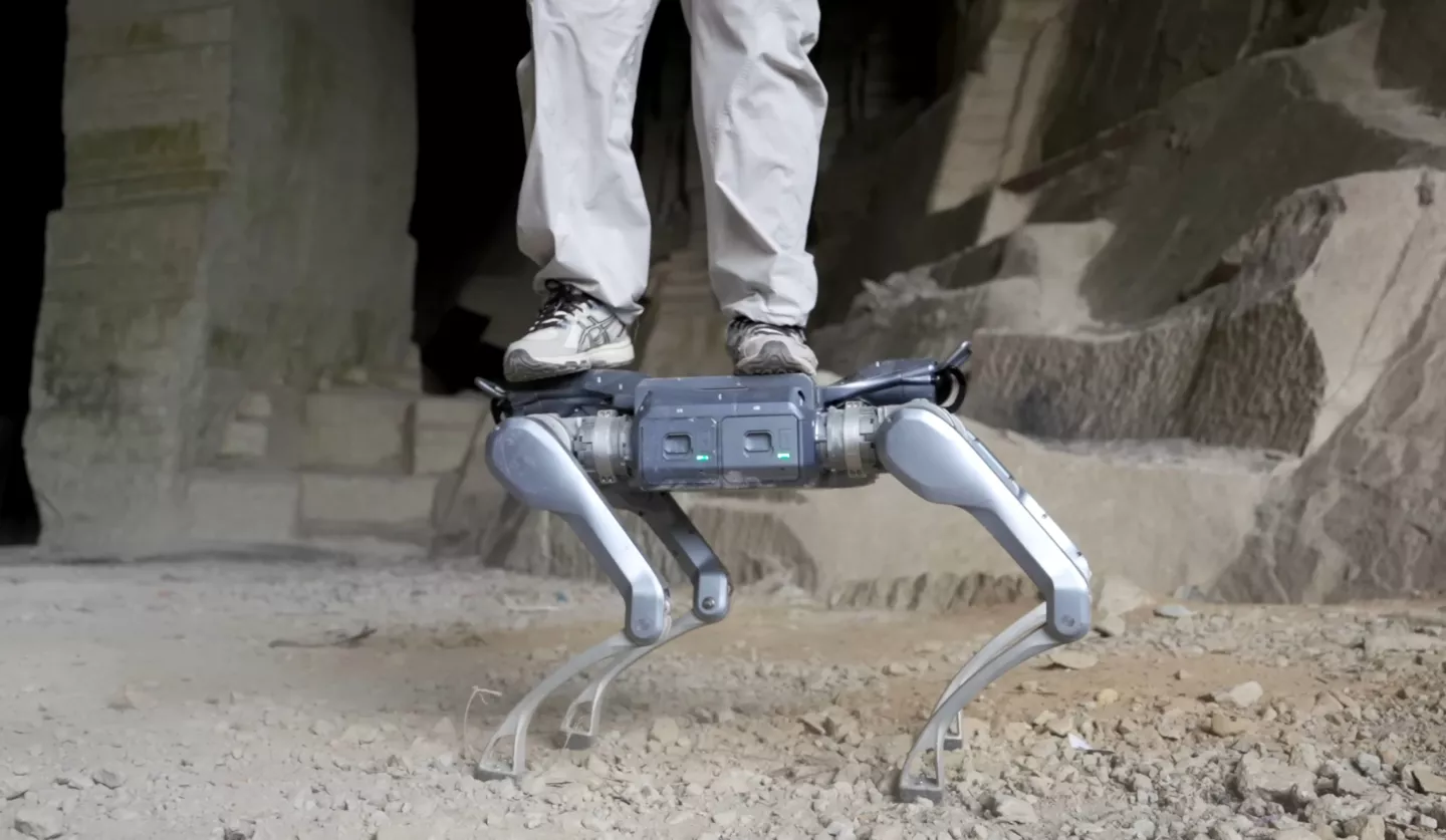 The A2 can support a standing weight of 100 kg, though that drops to 25 kg when the quadruped is on the move
