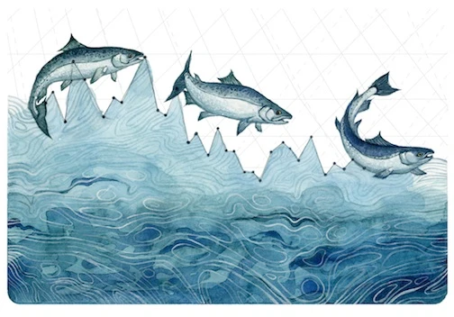 Jill Pelto creates beautiful watercolor paintings incorporating environmental data. This work shows Salmon population decline in Washington State