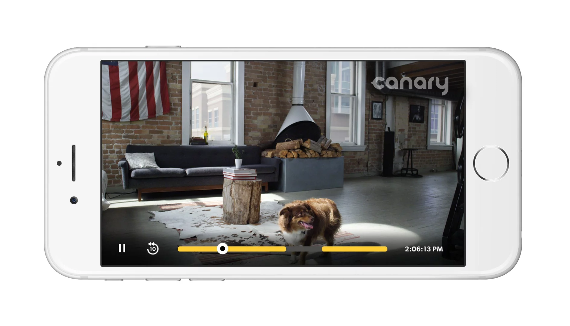 Canary videos highlight times when activity is detected