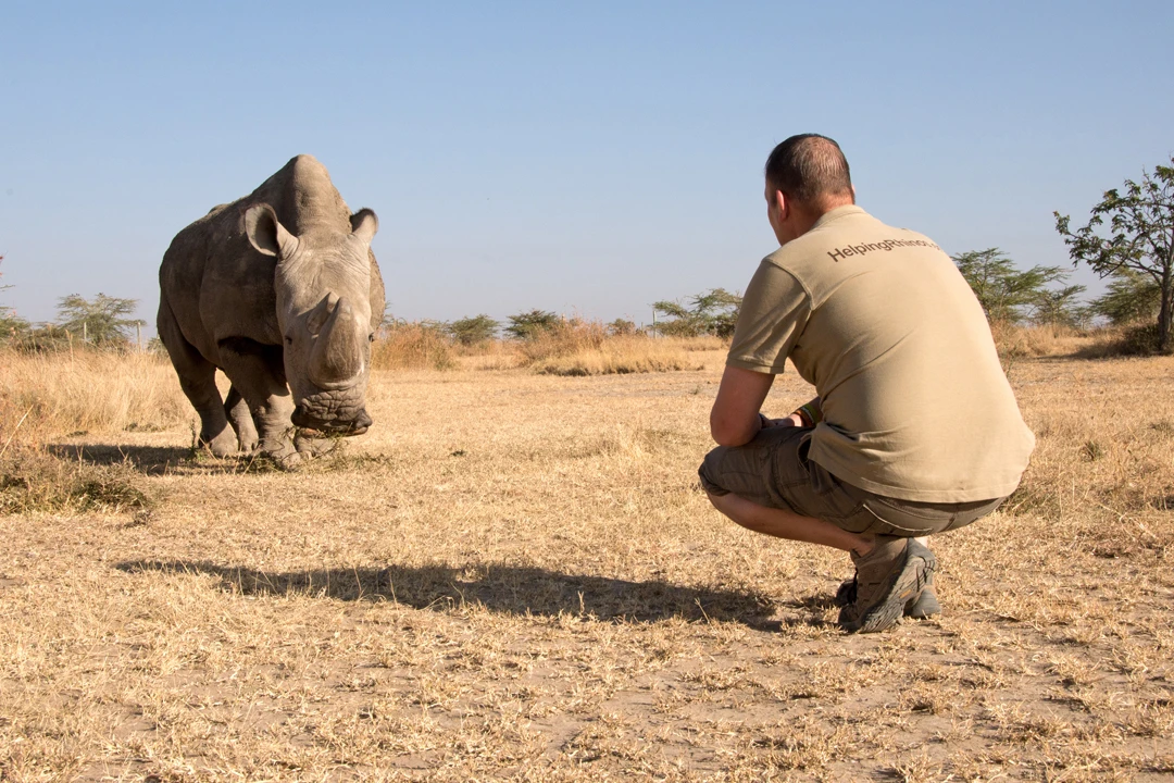 Conservationists have taken some innovative measures to keep the northern white rhino population alive